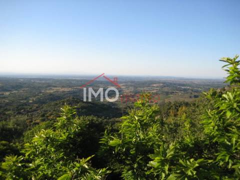 Terreno Rústico  Venda em Santa Maria de Marvão,Marvão