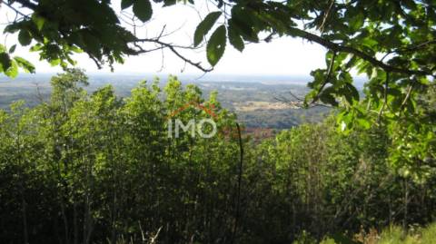 Terreno Rústico  Venda em Santa Maria de Marvão,Marvão