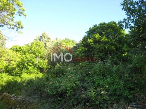 Terreno Rústico  Venda em Santa Maria de Marvão,Marvão