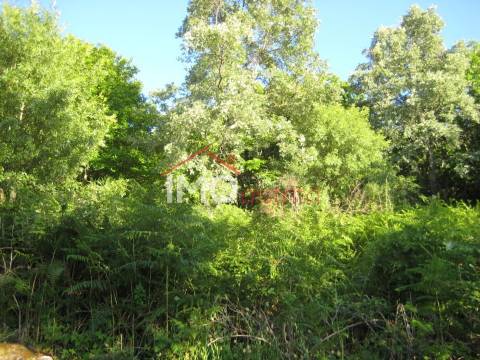 Terreno Rústico  Venda em Santa Maria de Marvão,Marvão