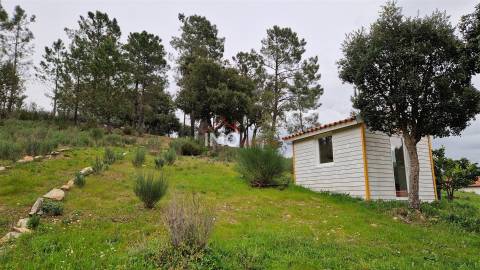 Quinta T1 Venda em Reguengo e São Julião,Portalegre