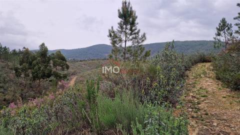 Quinta T1 Venda em Reguengo e São Julião,Portalegre