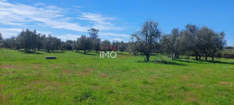 Quinta com 3,6 ha de Terreno
