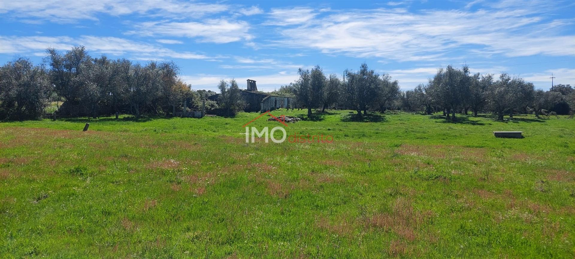 Quinta com 3,6 ha de Terreno