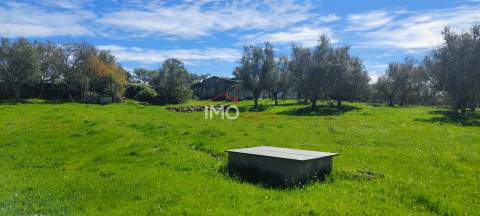 Quinta com 3,6 ha de Terreno