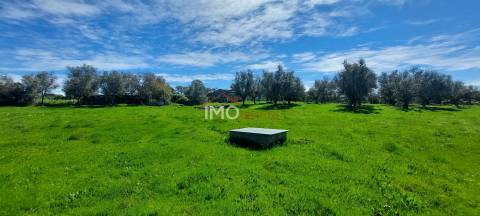 Quinta com 3,6 ha de Terreno