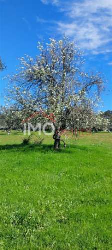 Quinta com 3,6 ha de Terreno