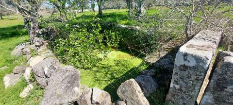 Quinta com 3,6 ha de Terreno