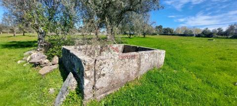 Quinta com 3,6 ha de Terreno