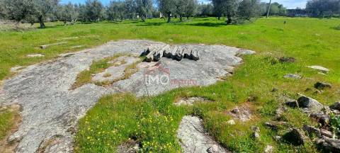 Quinta com 3,6 ha de Terreno