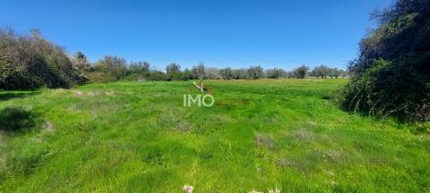 Quinta com 3,6 ha de Terreno