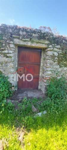 Quinta com 3,6 ha de Terreno