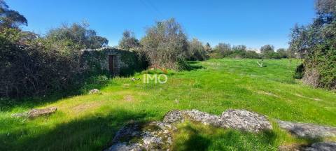 Quinta com 3,6 ha de Terreno