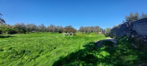 Quinta com 3,6 ha de Terreno