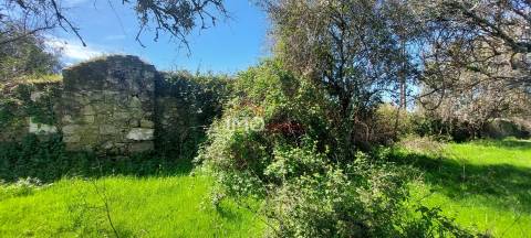 Quinta com 3,6 ha de Terreno