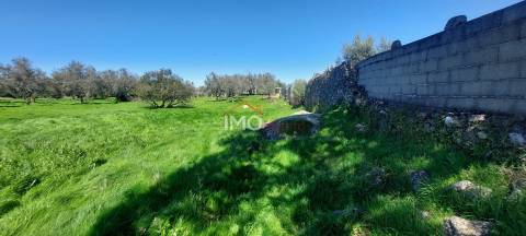 Quinta com 3,6 ha de Terreno