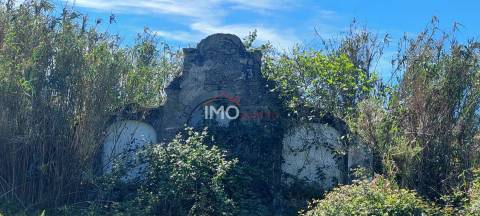Quinta com 3,6 ha de Terreno