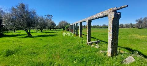 Quinta com 3,6 ha de Terreno