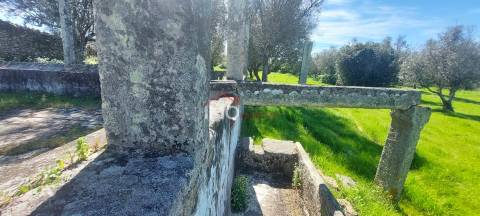 Quinta com 3,6 ha de Terreno