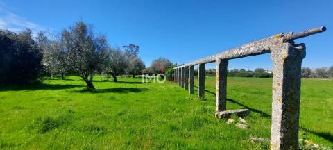 Quinta com 3,6 ha de Terreno