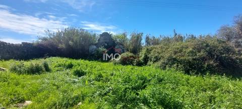 Quinta com 3,6 ha de Terreno