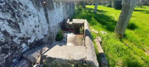 Quinta com 3,6 ha de Terreno