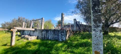 Quinta com 3,6 ha de Terreno