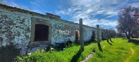 Quinta com 3,6 ha de Terreno