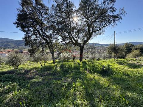 Terreno Para Construção  Venda em São Salvador da Aramenha,Marvão