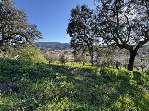 Terreno Para Construção  Venda em São Salvador da Aramenha,Marvão