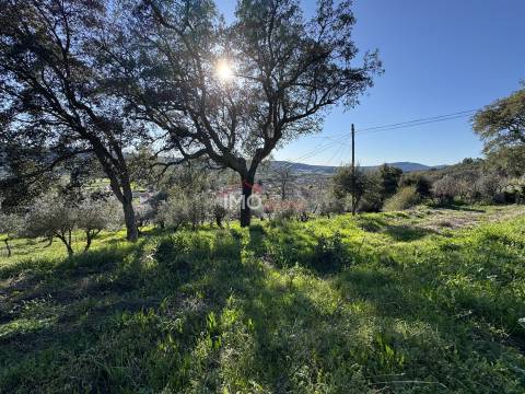Terreno Para Construção  Venda em São Salvador da Aramenha,Marvão