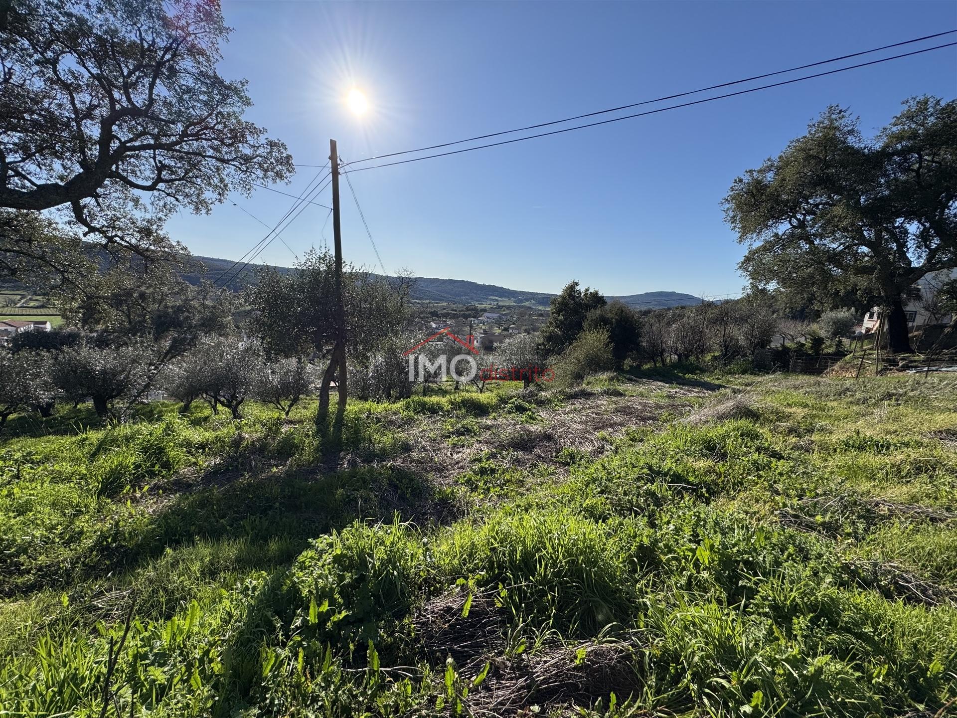 Terreno Para Construção  Venda em São Salvador da Aramenha,Marvão