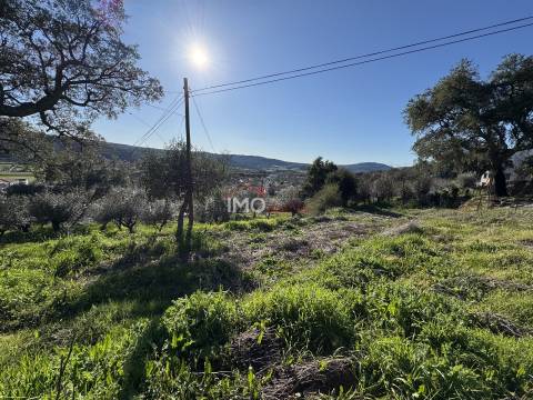 Terreno Para Construção  Venda em São Salvador da Aramenha,Marvão