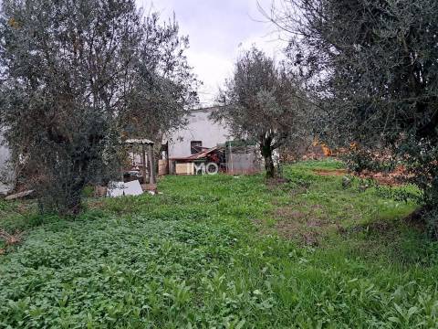 Terreno  Venda em Fortios,Portalegre