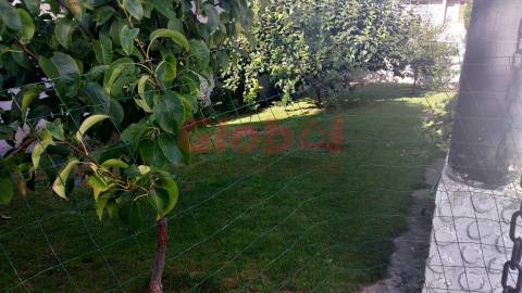 Moradia Isolada T5+1 Venda em Rio de Loba,Viseu