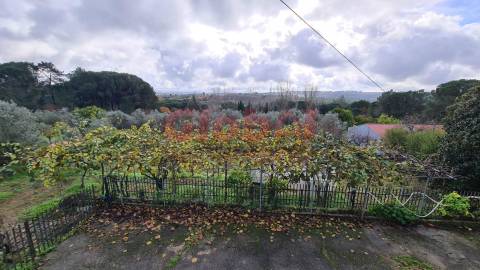 Herdade T3 Venda em Alcafache,Mangualde