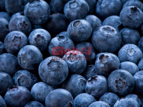 Quinta  Venda em Quintela de Azurara,Mangualde