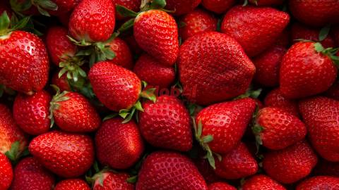 Quinta  Venda em Quintela de Azurara,Mangualde