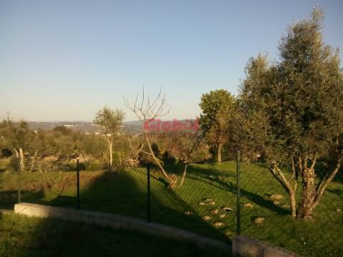 Terreno Para Construção  Venda em Fragosela,Viseu