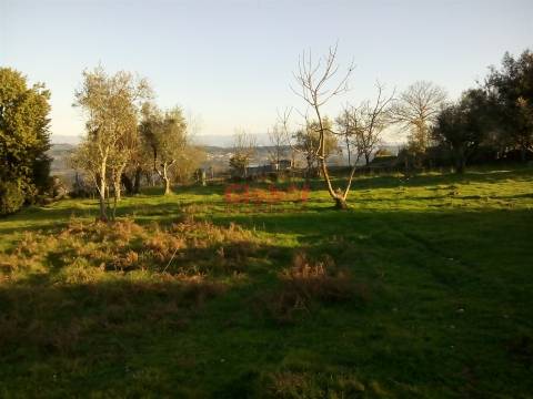 Terreno Para Construção  Venda em Fragosela,Viseu