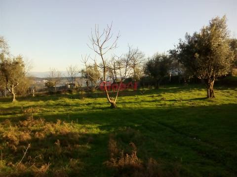 Terreno Para Construção  Venda em Fragosela,Viseu