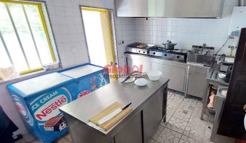 Quinta  Venda em Sátão,Sátão