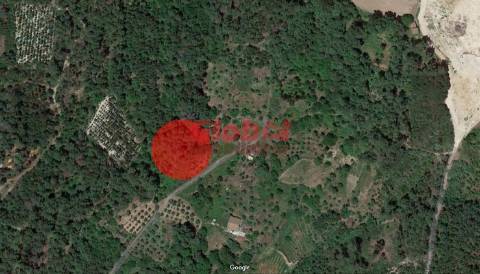 Terreno Rústico  Venda em Cavernães,Viseu