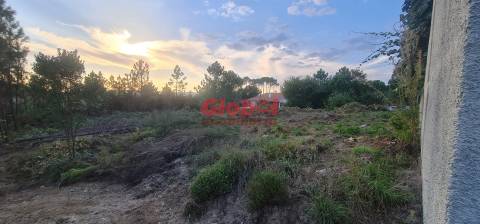 Terreno Para Construção  Venda em Repeses e São Salvador,Viseu