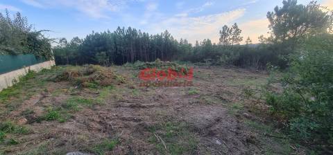 Terreno Para Construção  Venda em Repeses e São Salvador,Viseu