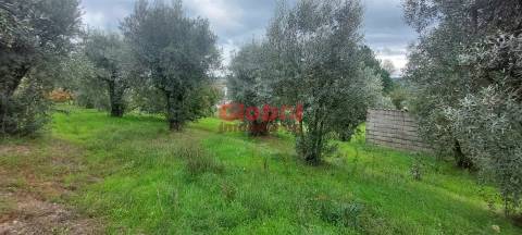 Terreno Para Construção  Venda em Santos Evos,Viseu