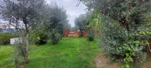 Terreno Para Construção  Venda em Santos Evos,Viseu