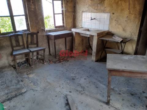 Moradia para Restaurar  Venda em Queirã,Vouzela