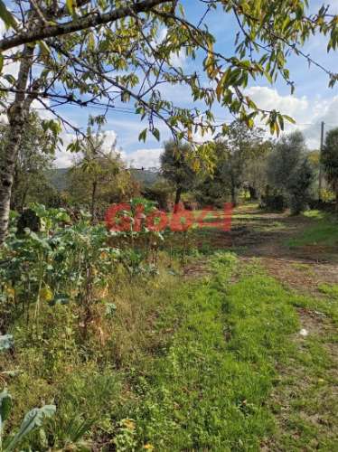 Moradia para Restaurar  Venda em Queirã,Vouzela