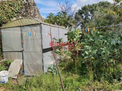 Moradia para Restaurar  Venda em Queirã,Vouzela